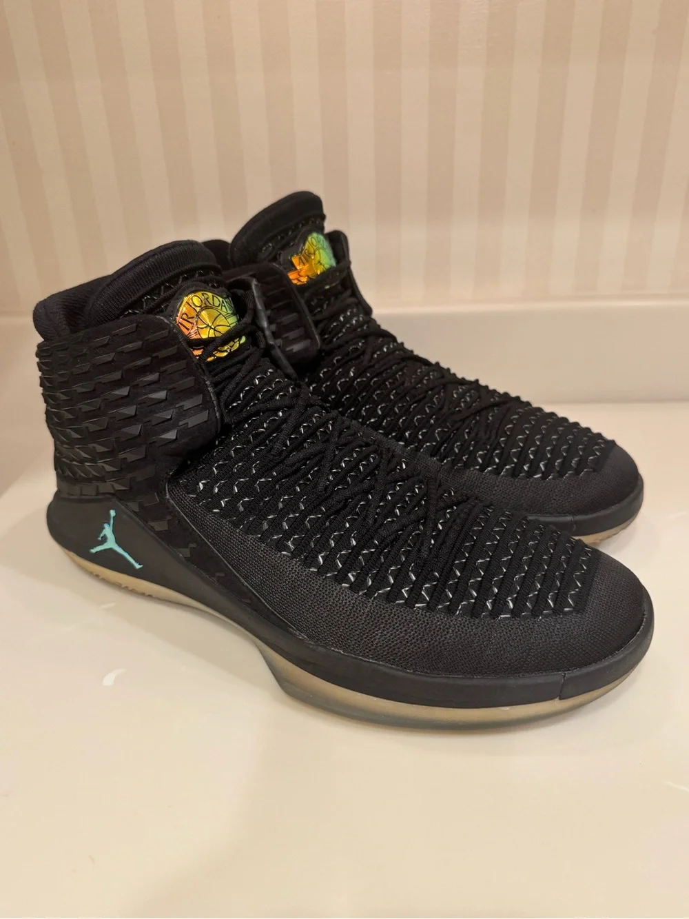 Air Jordan Black Cat Basketball Shoes AA1253-003